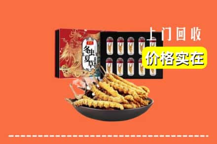 海东市回收冬虫夏草